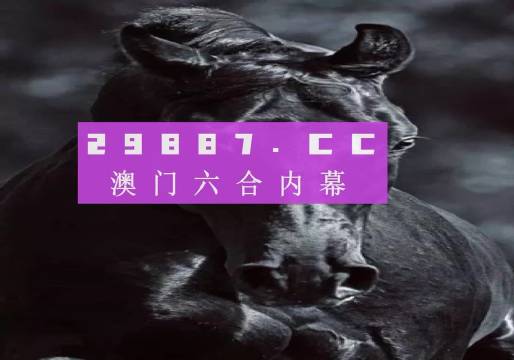 管家婆王中王的数字世界，揭秘十记录网背后的真相管家婆王中王开奖结果十记录网 2022特