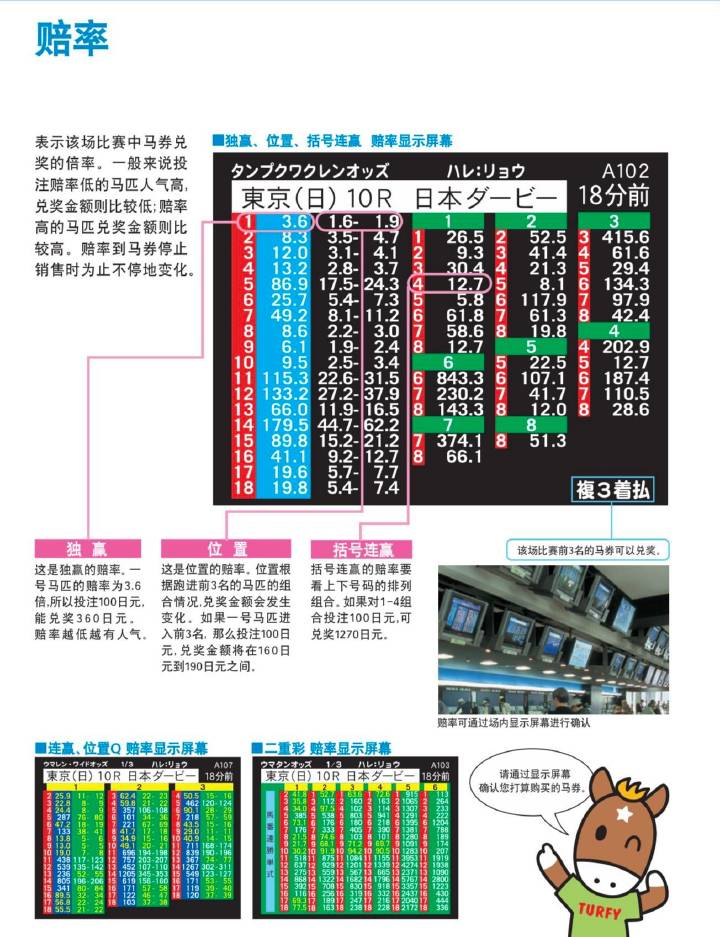 守护正版