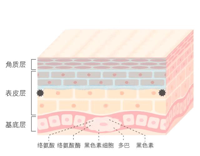 揭秘白小姐今期一肖中特，理性看待生肖预测的迷思白小姐一肖期期准准