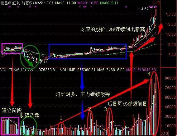 3D专家预测，揭秘今日牛彩网最准确走势3d专家预测最准确今天