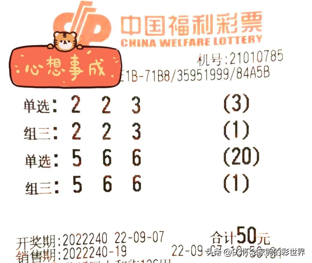 3D彩票走势图模板下载，解锁数字游戏的新视角