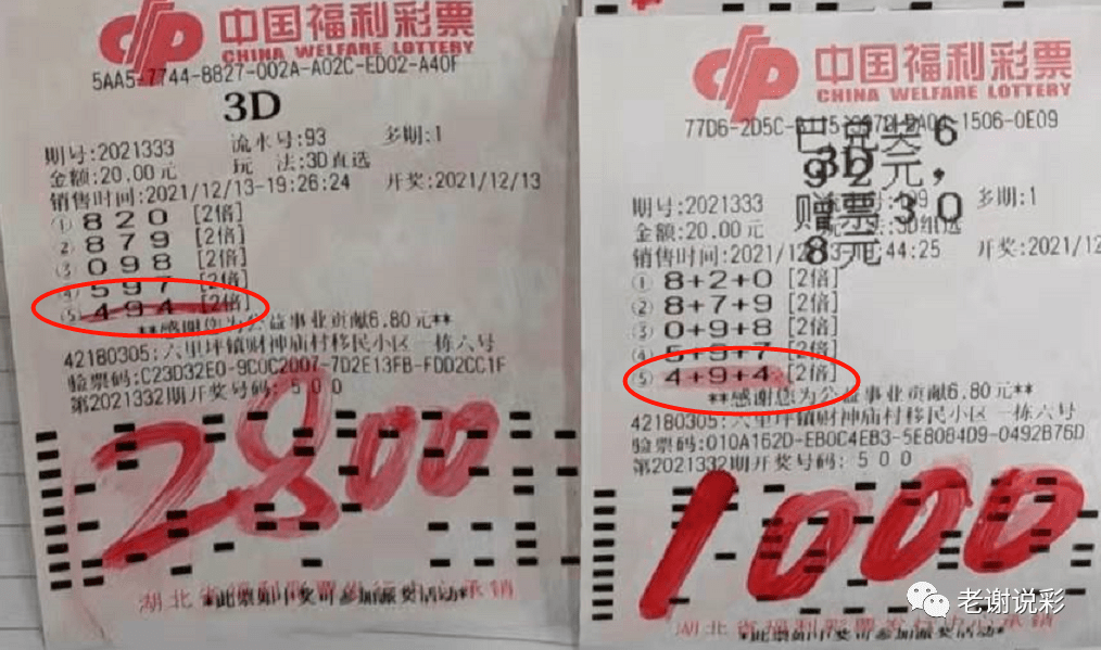 今日特马，香港彩市新动向与公众期待香港今日特马开奖结果是什么