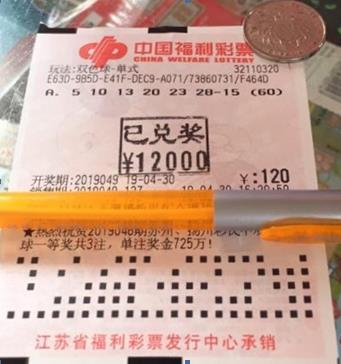 2019年双色球第73期开奖结果深度解析与彩民心声双色球开奖结果202019期