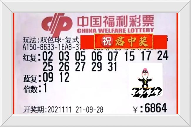 2013年双色球第67期开奖揭晓，梦想与幸运的碰撞福彩双色球开奖结果2013066